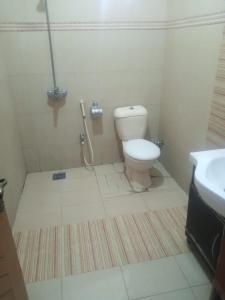 ein Bad mit einem WC und einem Waschbecken in der Unterkunft Four Season Guest House in Islamabad