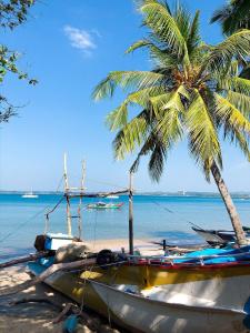 a boat on the beach with a palm tree at Yes Beach House in Mirissa