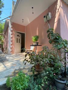 einen Innenhof eines Hauses mit Topfpflanzen darauf in der Unterkunft Gkiko’s Guest House in Qeparo