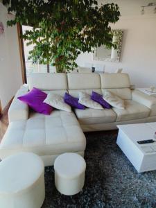 オウレンセにあるDuplex grandes cristaleras impresionantes vistasのリビングルーム(白いソファ、紫色の枕付)