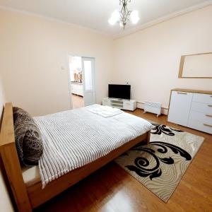 a bedroom with a bed and a television in it at Затишний Дім in Chernivtsi