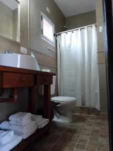 a bathroom with a sink and a toilet and a shower at Cabañas Los Teros in San Pedro