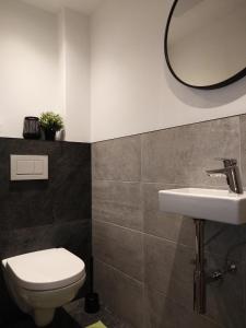 a bathroom with a toilet and a sink and a mirror at rima apartments in Hippach