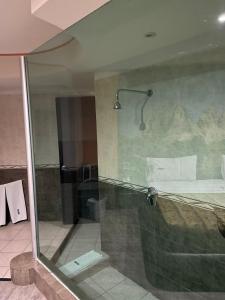 メヒカリにあるMotel Fronorteのバスルーム(ガラスドア付きのシャワー付)