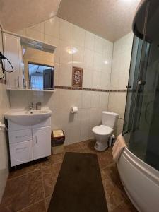 a bathroom with a sink and a toilet and a shower at Sadyba u Halyny Sunrise in Bukovel