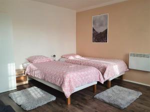 two beds in a room with two rugs at Ubytování u Ještěrky in Jaroslavice