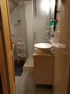 y baño con lavabo y ducha. en VILA PAVLOVIC en Kopaonik