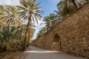 un mur en pierre avec des palmiers et une route dans l'établissement بيت الصباح نزل وكافيه Bait AlSabah Heritage Inn & Cafe, à Birkat al Mawz