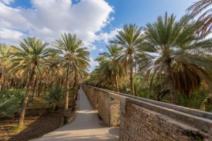 un camino con palmeras y una pared de piedra en بيت الصباح نزل وكافيه Bait AlSabah Heritage Inn & Cafe en Birkat al Mawz