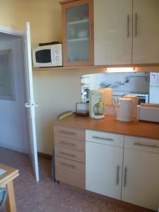 a kitchen with a counter top with a microwave at Karolina Properties - Val Maria in Cannes