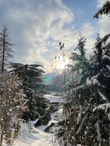una escena de invierno de un río con árboles nevados en Chalet Keller, en Les Contamines-Montjoie