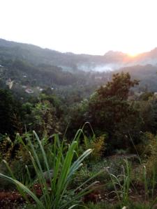 Blick auf ein Tal mit Bäumen und Wolken in der Unterkunft Lushoto Pazuri in Makungulu