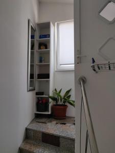 A kitchen or kitchenette at Apartments Valentina Tisno