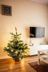 - un arbre de Noël dans un salon avec une télévision dans l'établissement Apartament Bimba & Free Parking, à Poznań