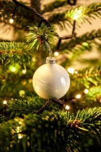 un ornement blanc de Noël sur un arbre de Noël dans l'établissement Apartament Bimba & Free Parking, à Poznań