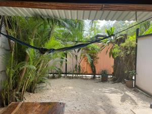 a bird sitting on a wire in a garden at Beach Cabinas in Santa Teresa Beach