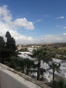 a view of a city with palm trees and buildings at H&ocirc;tel Glacier in F&egrave;s