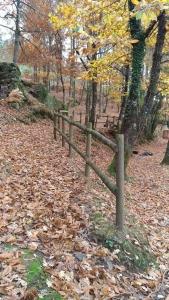 una valla de madera en un campo lleno de hojas en Casa da Vitória, en Penela