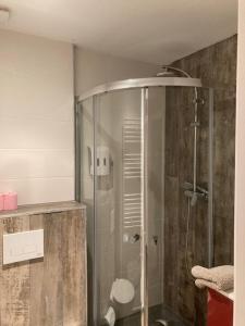 a shower with a glass door in a bathroom at Appartement Mozart in Strasbourg