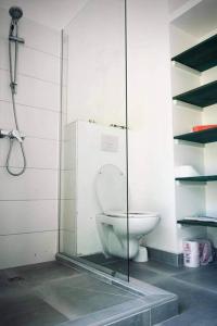 a bathroom with a toilet in a shower stall at Cottage « the papaya tree » in Temae
