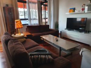 uma sala de estar com um sofá e uma televisão em Alcaravaneras Home em Las Palmas de Gran Canárias