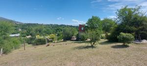 una imagen de un patio con árboles y una casa en La Loma en Villa Giardino