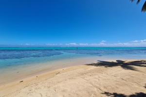 a beach with the ocean and a palm tree on it at Villa Meheana in Moorea