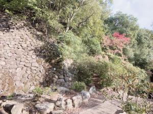 a stone wall with trees and bushes on a hill at KIYOMORI in Hatsukaichi