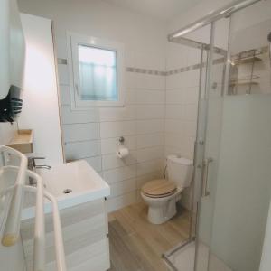 a bathroom with a toilet and a sink and a shower at maison aubenas le lavandin in Ucel