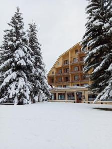 Hotel SNO Edelweiss خلال فصل الشتاء