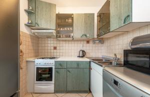 Kuchyň nebo kuchyňský kout v ubytování Apartments Roje