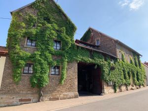 a building with ivy growing on the side of it at das Eppelsheimer in Undenheim