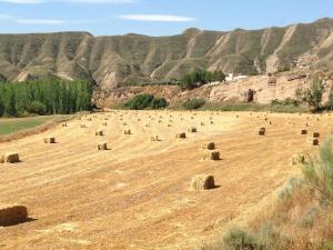 CASTILLO BADLANDS, Freila – Updated 2022 Prices