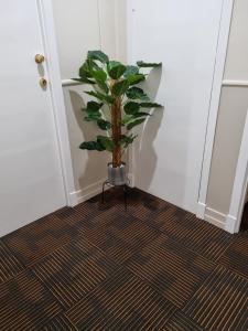 ToogoolawahPeddlars Rest的相册照片