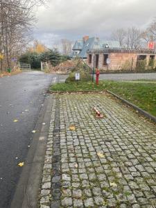 Zdjęcie z galerii obiektu Apartament Śnieżka w mieście Karpacz
