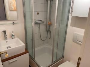 a bathroom with a shower and a sink at Deichhof Whg 8 in Dunsum