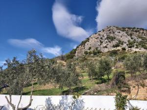 une montagne avec des arbres et un ciel bleu dans l'établissement Casa Puerto Blanco II, à Algodonales