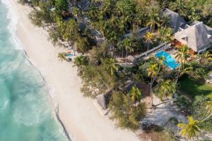 an aerial view of a beach with palm trees at Cast Away Residence in Kiwengwa