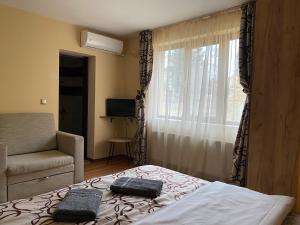 Gallery image of Kot Garden Guest House in Sapareva Banya