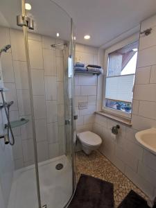 y baño con ducha, aseo y lavamanos. en Ferienwohnung und Pension Gürtler, en Werdau