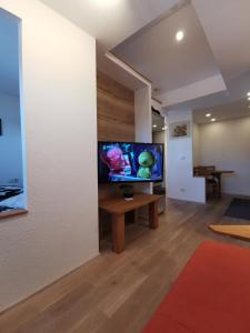 uma sala de estar com uma televisão de ecrã plano na parede em Ferienwohnung und Pension Gürtler em Werdau