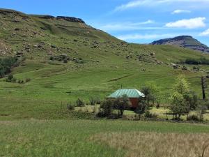a green hillside with a barn in a field at Sani Lodge Self-Catering Cottages Sani Pass South Africa in Sani Pass