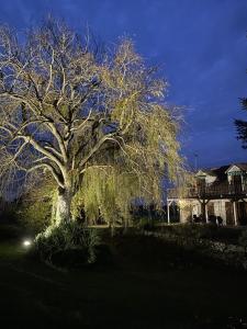 a large tree in front of a house at night at Golf Hotel de la Carte in Chouzy-sur-Cisse