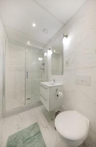 ApartHotel Katowice - Deluxe Rooms with King Beds, City Center, Free Wifi! tesisinde bir banyo