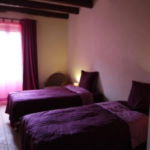 ValeillesにあるGîte l'Odonataのベッドルーム1室(紫のシーツが敷かれたベッド2台、窓付)
