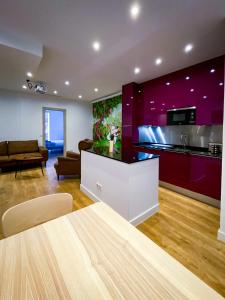 Kuchyň nebo kuchyňský kout v ubytování Sol Apartamentos Madrid Centro