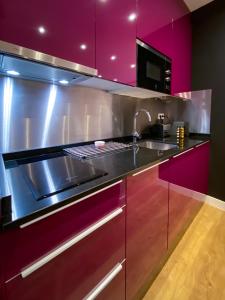 Kuchyň nebo kuchyňský kout v ubytování Sol Apartamentos Madrid Centro