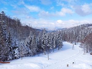Wiślany Raj durante o inverno