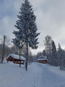 Wiślany Raj durante o inverno