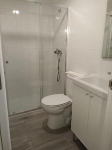 een badkamer met een douche, een toilet en een wastafel bij Casinhas da Lu in Geres